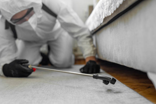 Professional Bed Bug Control technician working in Hillsborough, NJ
