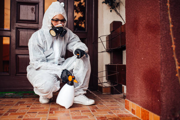Reliable Bed Bug Control contractor in Hillsborough, NJ by Nex Pest Control